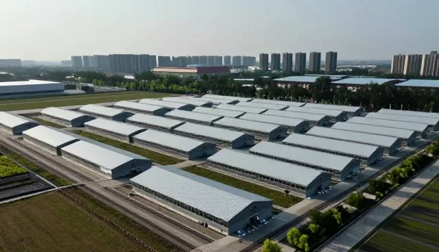 技术培训方案设计中的常见问题及应对策略